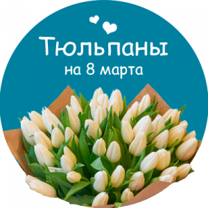 Купить тюльпаны в Троицке